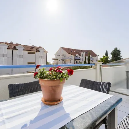 Pina Vodice