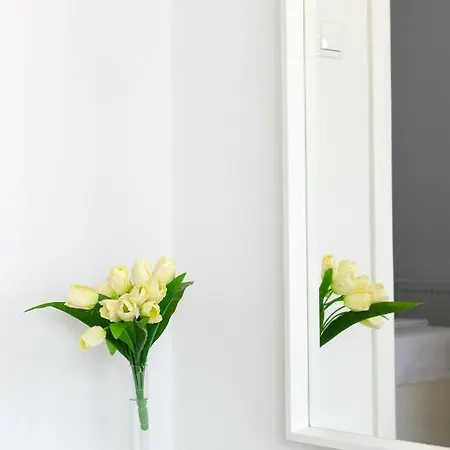 Apartament Pina